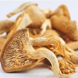 Mashroom