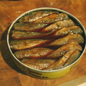 Fish Can